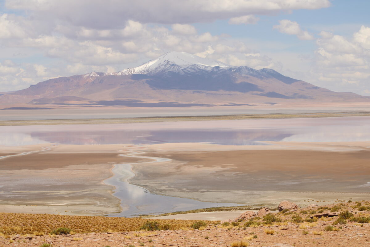 Salar de Tara.