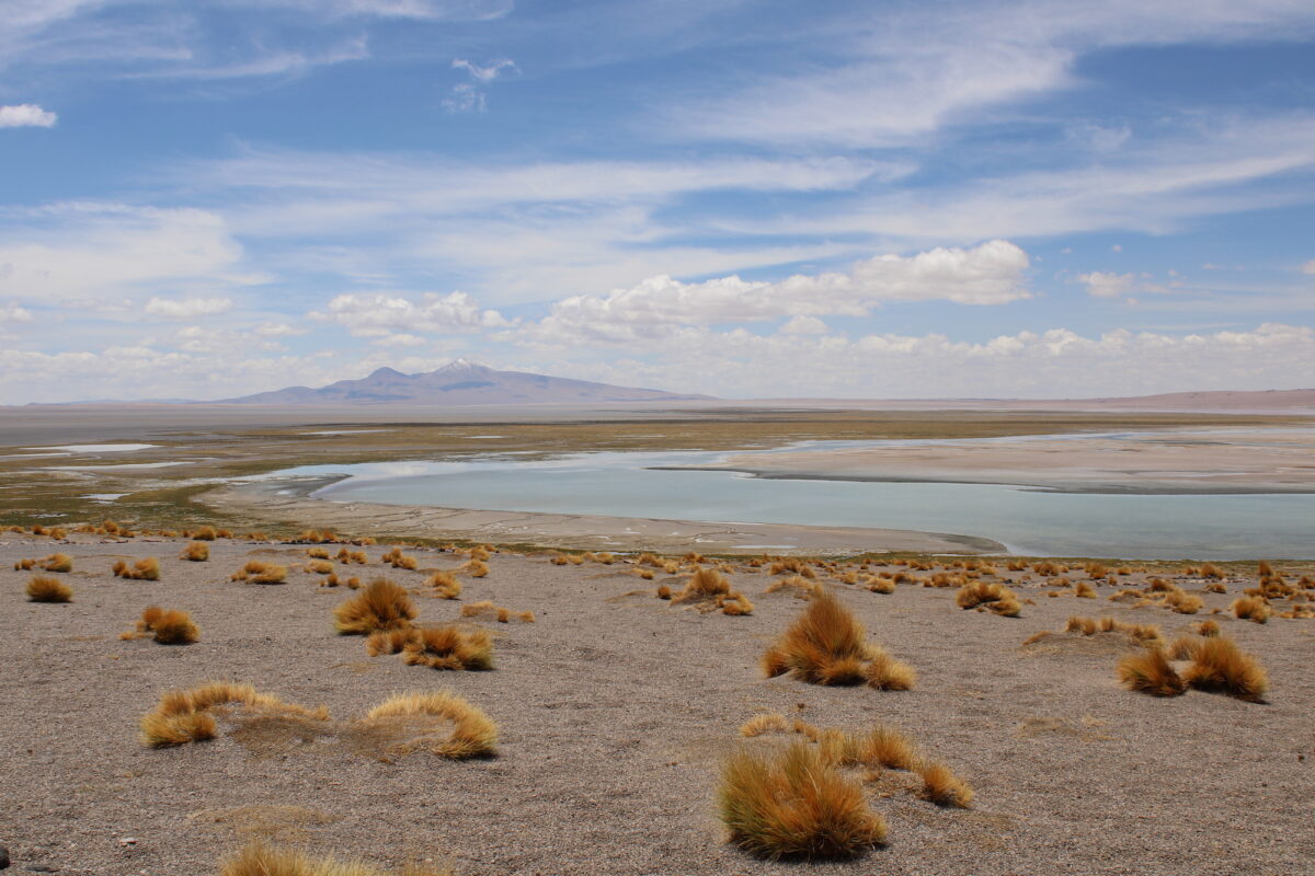 Salar de Tara.
