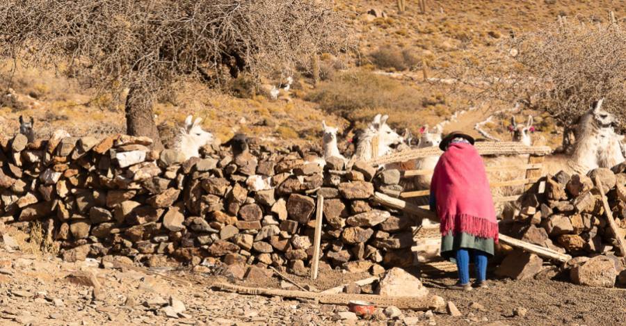Expertos y opositores al Gobierno temen que la sanción del proyecto de ley de Milei facilite el desalojo de comunidades de los pueblos indígenas en tierras rurales. Foto: cortesía Clemente Flores Expertos y opositores al Gobierno temen que la sanción del proyecto de ley de Milei facilite el desalojo de comunidades de los pueblos indígenas en tierras rurales. Foto: cortesía Clemente Flores