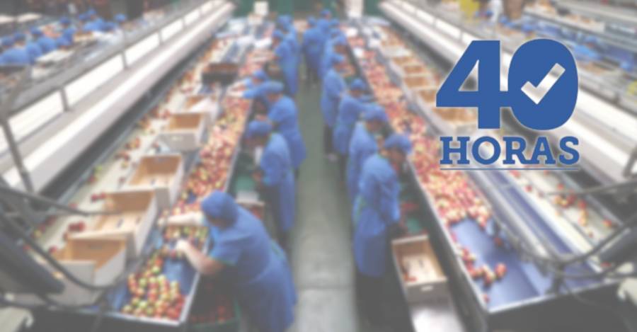40 horas.