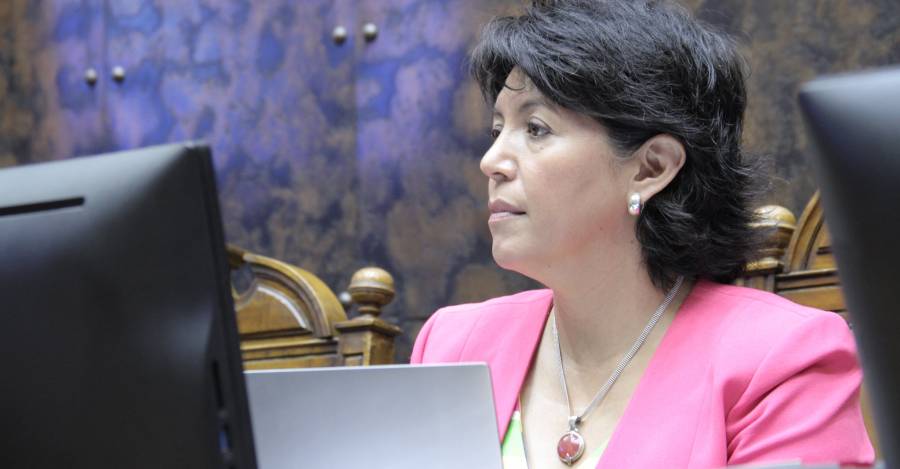 Yasna Provoste - Crédito: Senado.