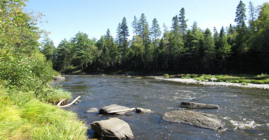 El caso del río Penobscot en Maine ayudó a inspirar el acuerdo. Foto: American Rivers