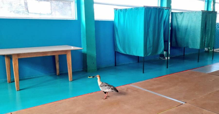 Imagen con la que un twittero graficó el escaso movimiento electoral de su mesa Imagen con la que un twittero graficó el escaso movimiento electoral de su mesa