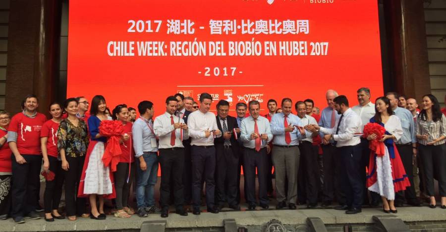 Gobierno de Chile