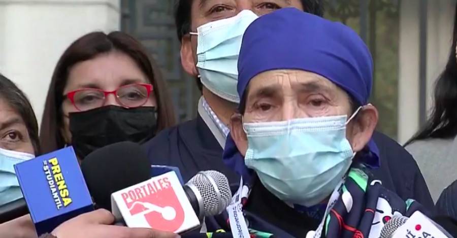 Constituyente, machi Francisca Linconao