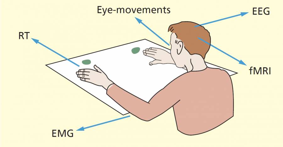 Imagen de The Student's Guide to Cognitive Neuroscience 