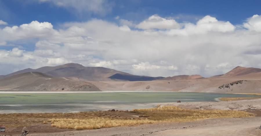 Imagen corto documental “Maricunga: ecosistema amenazado por la minería del litio“,