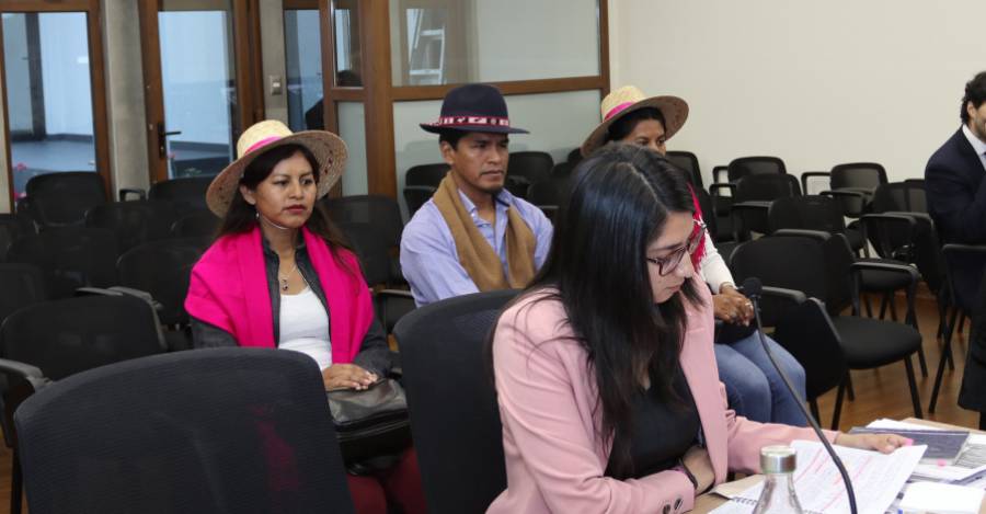 Primer Tribunal Ambiental 