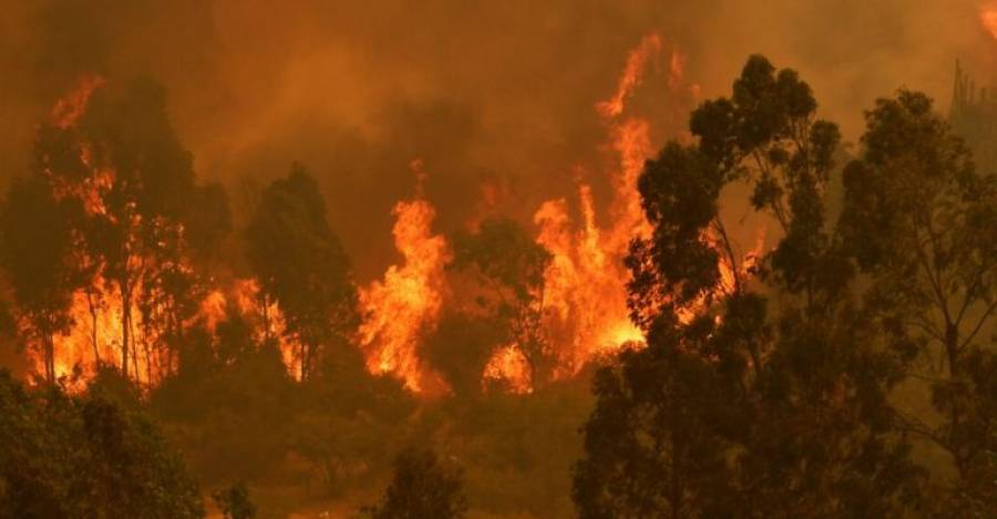 Incendios forestales en Chile. Foto Agencia Uno.