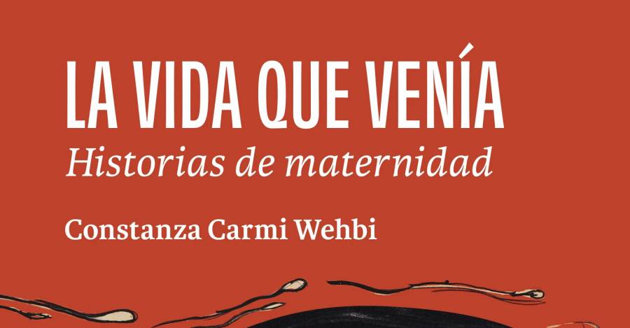 Portada La vida que venía de Constanza Carmi. Portada La vida que venía de Constanza Carmi.