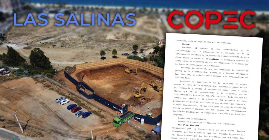 Las Salinas Copec