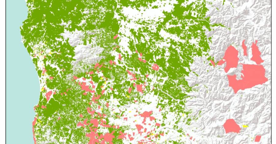 En verde la plantación de pinos y eucaliptos. Trabajo de Pablo Mansilla, doctor en Geografía