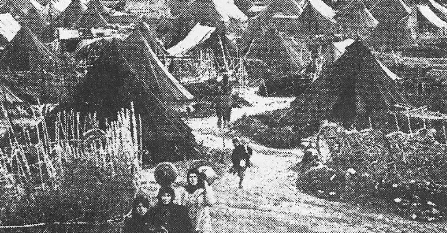 Palestina se transformó en el país de las carpas.