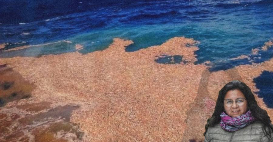 De fondo, uno de los vertimientos. En la esquina, la abogada querellante Orietta Llauca