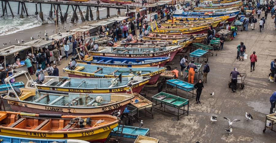 Pesca artesanal en Valparaíso. Foto: Oceana