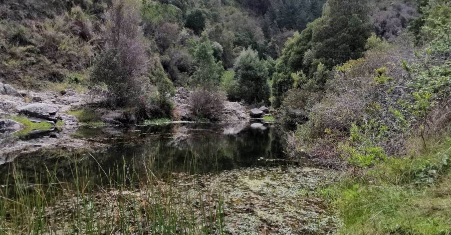 Quebrada de Cordova - Sector Coipo Grande