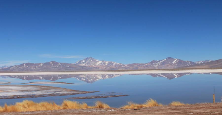 Salar de Maricunga. Foto: Barinia Montoya