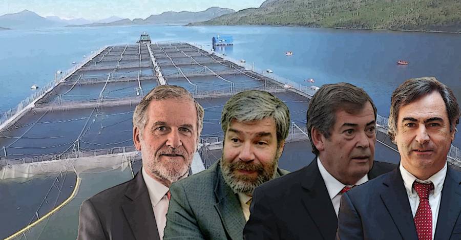 Gastón Cruzat (en Yadrán), Felipe Sandoval Precht (ex subsecretario de Pesca de Lagos), Juan Claro González (en AquaChile), Rodrigo Sarquis Said (en Blumar).