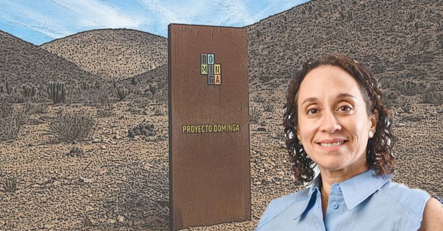 Tatiana Klima fue asesora personal del gerente general de Dominga en 2019