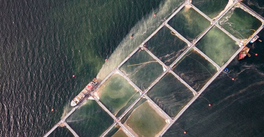 Una marea café o Fenómeno Algal Nocivo cubrió el fiordo Comau en 2021 Foto Álvaro Vidal
