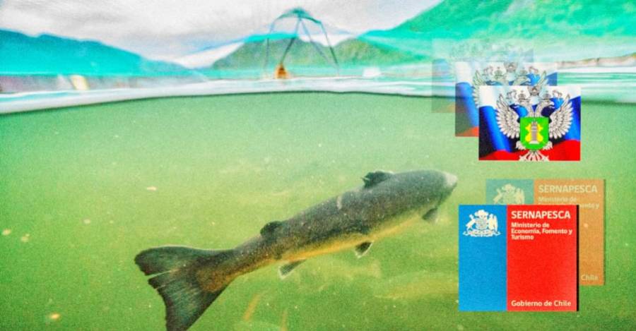 De fondo, salmón en criadero chileno. Fuente: Ladera Sur. Encima los escudos de Rosselkhoznadzor y Sernapesca.