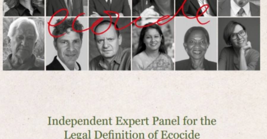 Portada del documento que entrega una definición legal al ecocidio