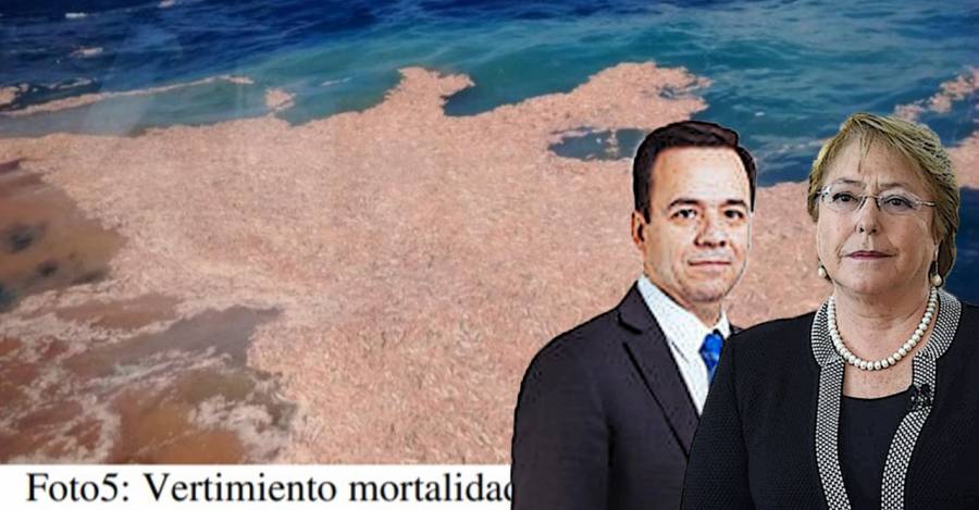 De fondo, una de las descargas de salmones. Al frente, Bachelet y su ministro de economía, Luis Felipe Céspedes