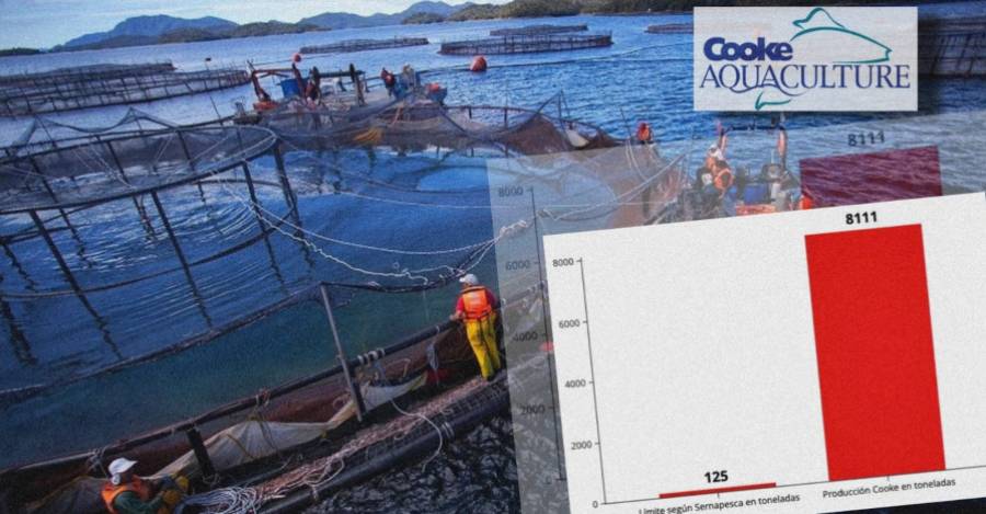 Gráfico demuestra diferencia entre límite productivo y producción real del centro. Fuente: Sernapesca