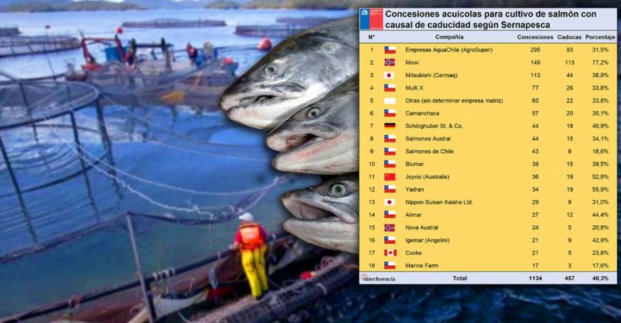 Imagen: tabla de elaboración propia con datos de Sernapesca.