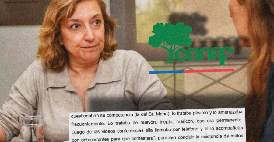Aida Baldini
