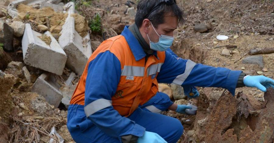 Hallazgo de contaminantes de este año.
