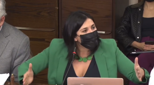 Diputada Karol Cariola en Comisión de Constitución.
