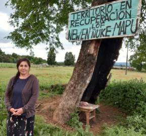 Ada Huentecol en el territorio mapuche que está recuperando. Fotografía Paula Huenchumil Ada Huentecol en el territorio mapuche que está recuperando. Fotografía Paula Huenchumil