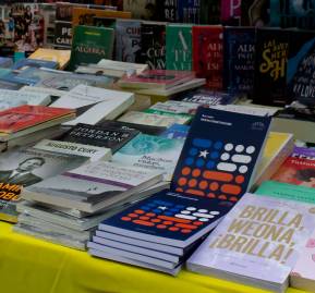 Borrador físico de la nueva Constitución en puesto de libros en Ahumada con Huérfanos Borrador físico de la nueva Constitución en puesto de libros en Ahumada con Huérfanos