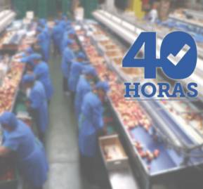 40 horas. 40 horas.