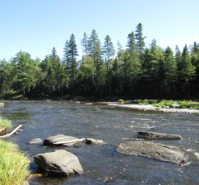 El caso del río Penobscot en Maine ayudó a inspirar el acuerdo. Foto: American Rivers El caso del río Penobscot en Maine ayudó a inspirar el acuerdo. Foto: American Rivers