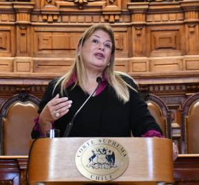 Vocera de la Corte Suprema, Angela Vivanco. 