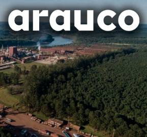 Planta de Arauco en Argentina. Planta de Arauco en Argentina.