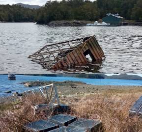 Basurales clandestinos salmoneros en reserva Las Guaitecas.