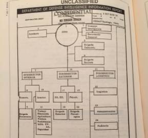Diagrama interno de la Dina donde aparece el Depto. de Psicología.