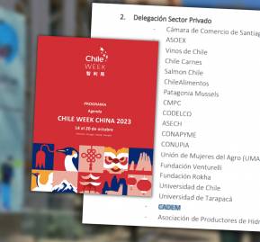 Cadem Chile Week China