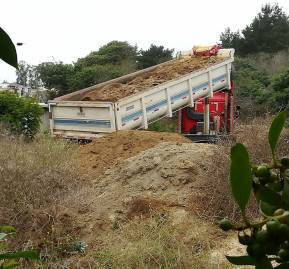 Cerro Flor Autoctona - Registro fotográficos de vecinos
