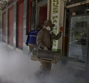 Un trabajador sanitario pulveriza mosquitos para mitigar el dengue en Bolivia. © AP Photo / Juan Karita Un trabajador sanitario pulveriza mosquitos para mitigar el dengue en Bolivia. © AP Photo / Juan Karita