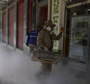 Un trabajador sanitario pulveriza mosquitos para mitigar el dengue en Bolivia. © AP Photo / Juan Karita