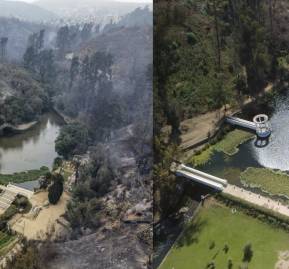 Vista a la laguna en el Jardín Botánico de Viña del Mar. Izquierda: febrero 2024/derecha: marzo 2026