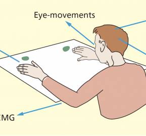 Imagen de The Student's Guide to Cognitive Neuroscience 