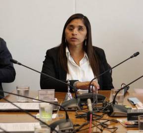 Fabiola Campillai. Foto: @DignidadFabiola. Fabiola Campillai.