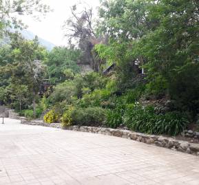 Interior de El Cañaveral, hoy Interior de El Cañaveral, hoy