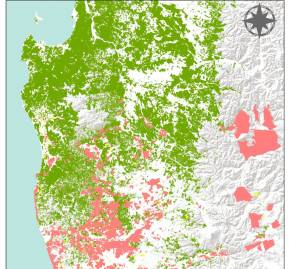 En verde la plantación de pinos y eucaliptos. Trabajo de Pablo Mansilla, doctor en Geografía