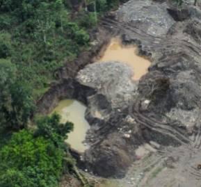 Foto: Mongabay Foto: Mongabay